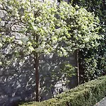 Alojamento de Acomodação e Pequeno-almoço La Buissonniere