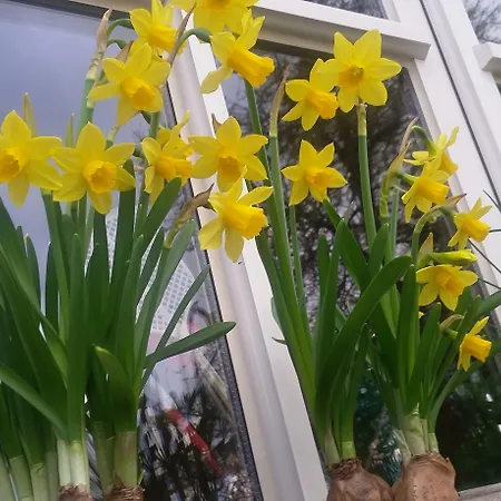 La Buissonniere Отель типа 