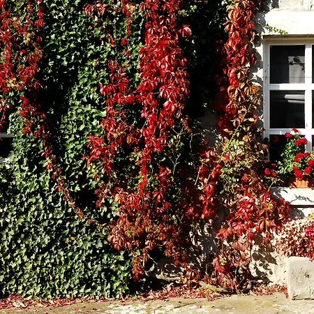 La Buissonniere 5* Xhoris