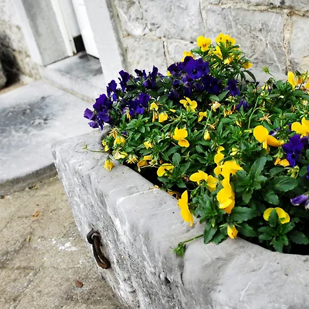 La Buissonniere Xhoris