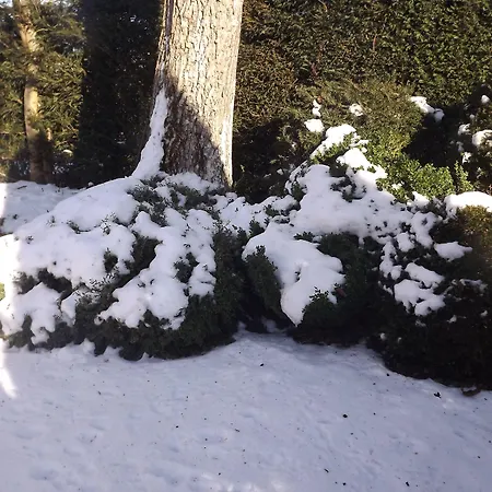 La Buissonniere Отель типа 