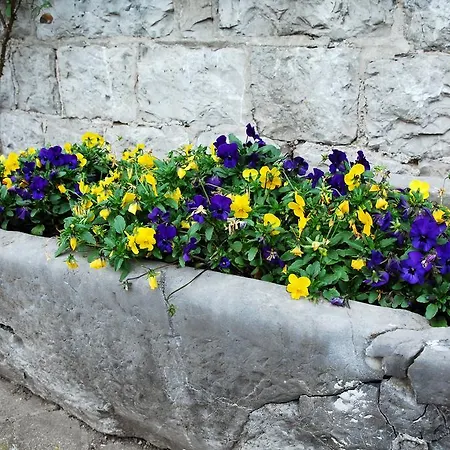 La Buissonniere 5* Xhoris