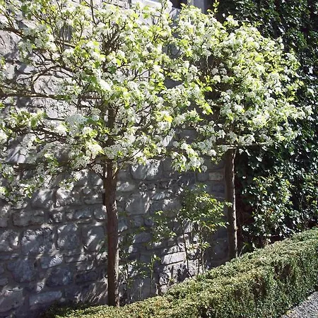 Bed & Breakfast La Buissonniere