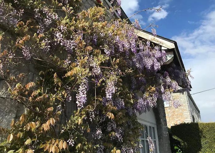 La Buissonniere Couette-café Xhoris