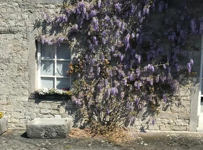 La Buissonniere Bed & Breakfast Xhoris