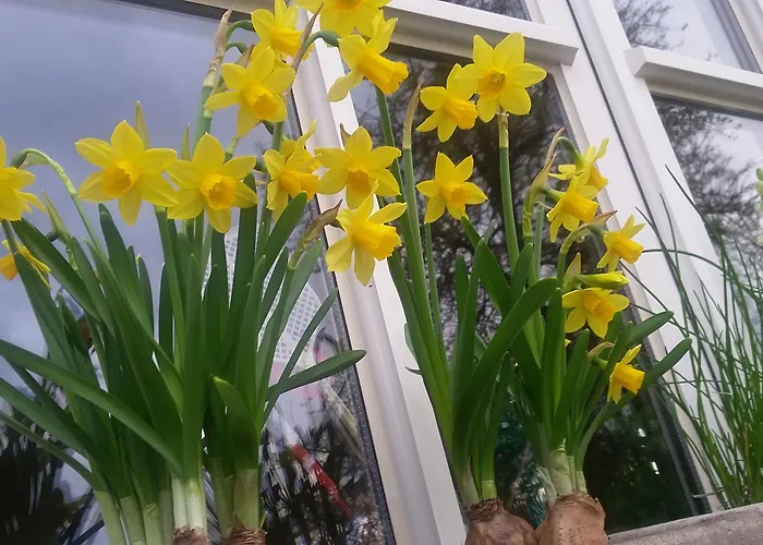 La Buissonniere Couette-café