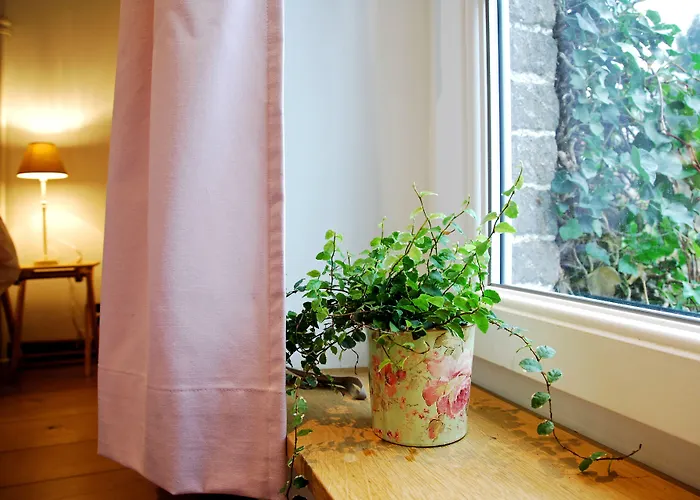 Bed & Breakfast La Buissonniere