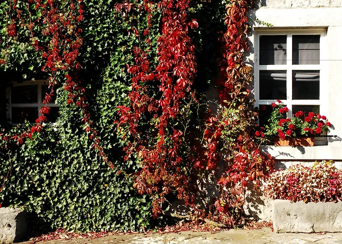 La Buissonniere 5* Xhoris