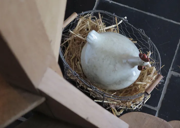 Bed & Breakfast La Buissonniere 5*