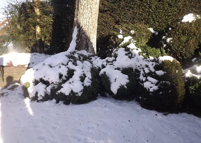 La Buissonniere Bed & Breakfast