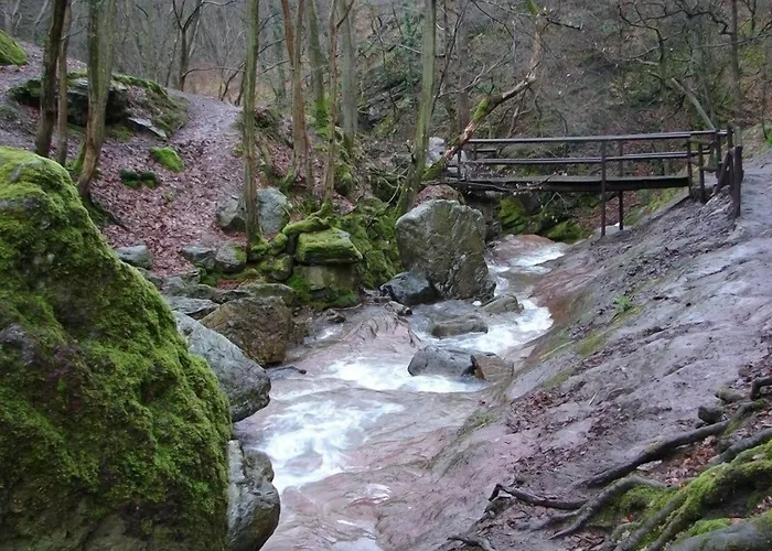 Bed & Breakfast La Buissonniere