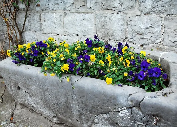 La Buissonniere 5* Xhoris