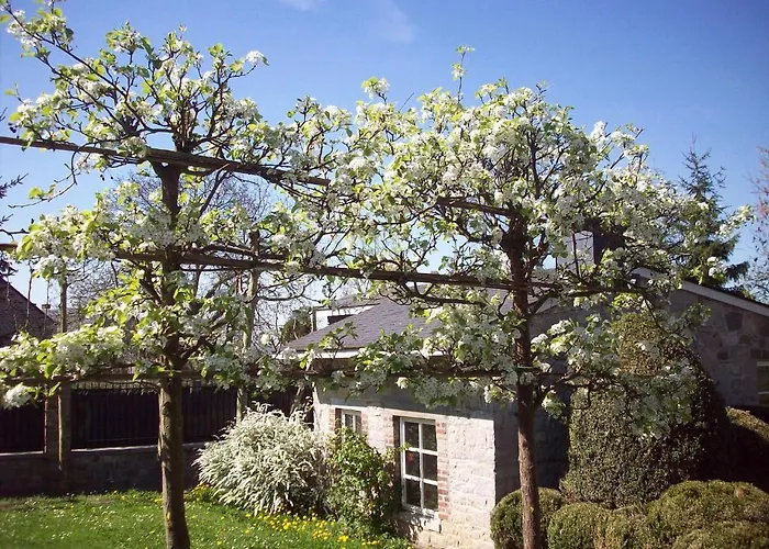 Bed & Breakfast La Buissonniere Xhoris