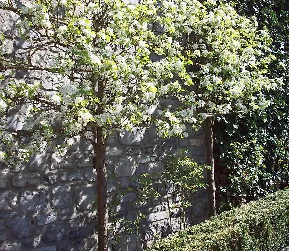 Couette-café La Buissonniere